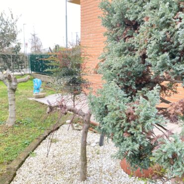 TRILOCALE IN VILLA, GIARDINO E BOX DOPPIO!