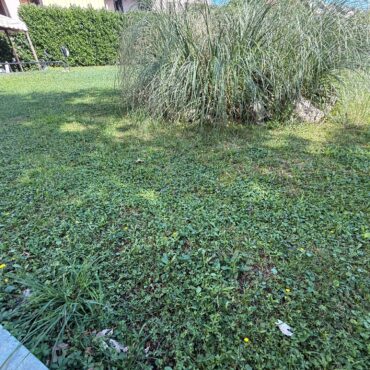 VILLA SINGOLA IDEALE PER B&B-STUDENTI E INVESTIMENTO!