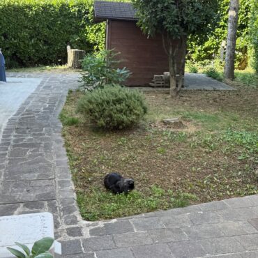 VILLA SINGOLA IDEALE PER B&B-STUDENTI E INVESTIMENTO!