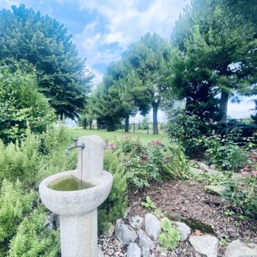 SCUDERIA-AZIENDA AGRICOLA -ABITAZIONE – PENSIONE E ALLEVAMENTO ANIMALI di 14.000 m² – Eleganza e Natura!