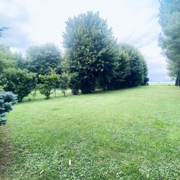 SCUDERIA-AZIENDA AGRICOLA -ABITAZIONE – PENSIONE E ALLEVAMENTO ANIMALI di 14.000 m² – Eleganza e Natura!