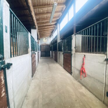 SCUDERIA-AZIENDA AGRICOLA -ABITAZIONE – PENSIONE E ALLEVAMENTO ANIMALI di 14.000 m² – Eleganza e Natura!