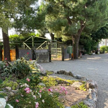 SCUDERIA-AZIENDA AGRICOLA -ABITAZIONE – PENSIONE E ALLEVAMENTO ANIMALI di 14.000 m² – Eleganza e Natura!